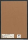 Campylodiscus biangulatus Grev. (de-Toni-Nr.: Genus 57, Species 2438) Zeichnungen Sammlung Grunow Mappe 02619 (Herbarium_W_Grunow_drawings_Folder_02619)